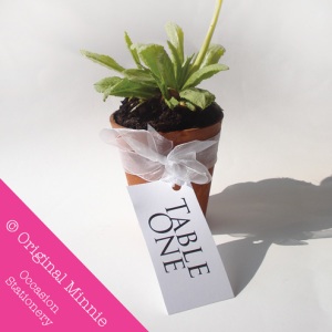Original Minnie © Handmade Wedding and Occasion Stationery Favour plant pot table number/name label with organza ribbon